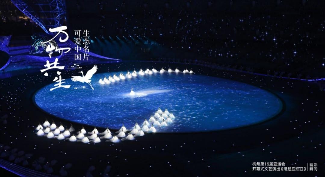 万物共生:生态名片 可爱中国